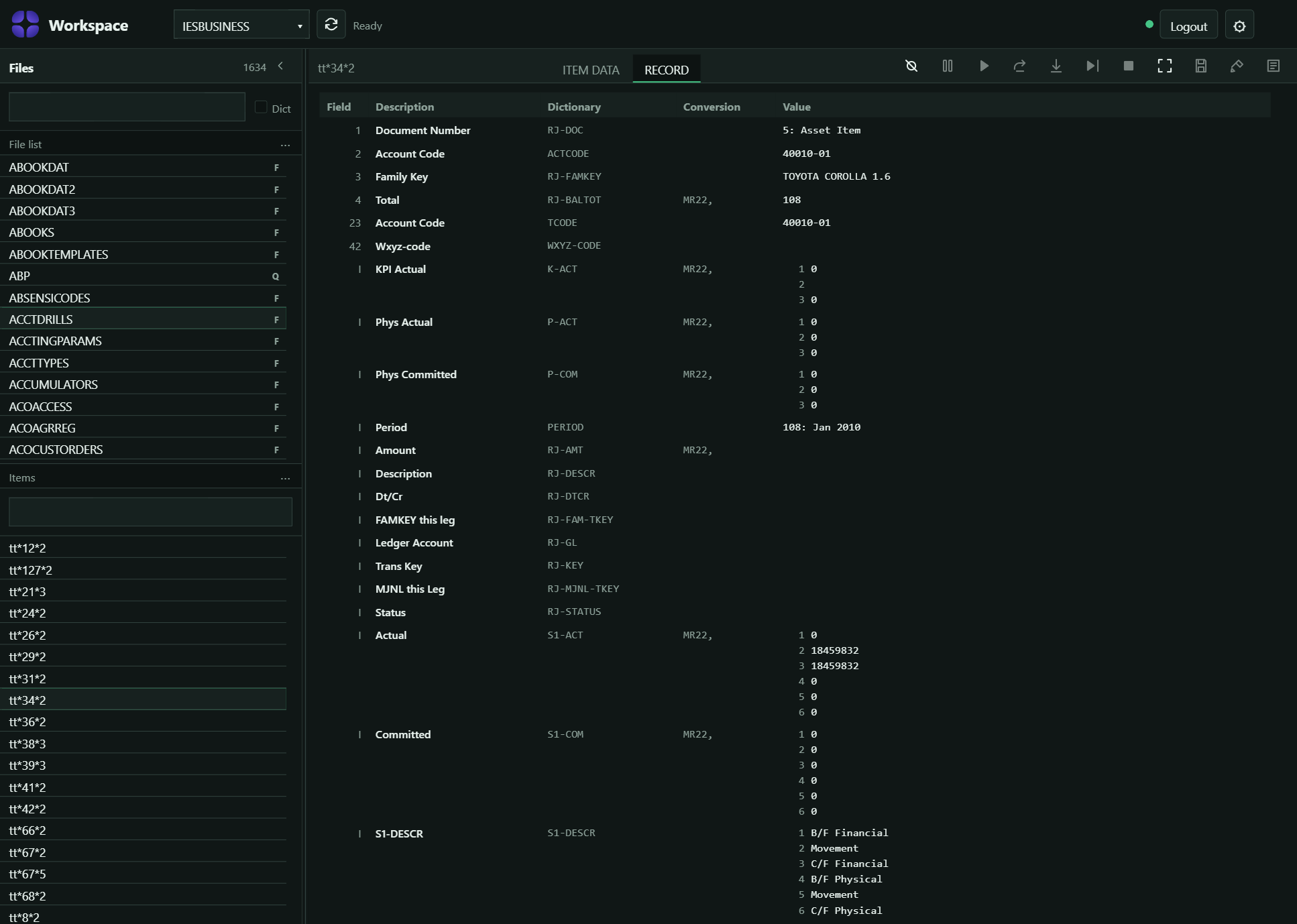 RightMV workspace showing a dictionary-resolved IES record